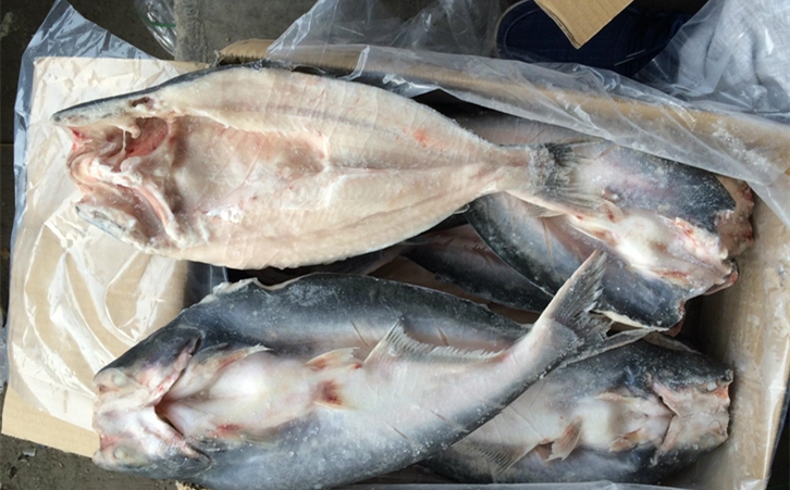 進口巴沙魚清關代理一點都不難，只要你準備好這些資料